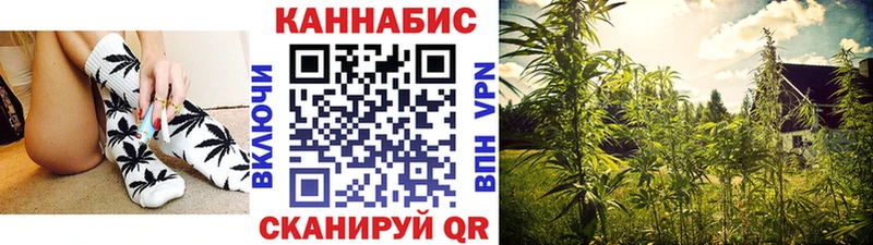 Купить где  Ясный  Бошки Шишки THC 21% 